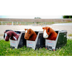 Mini-poney Poly - PONY ACADEMY Bicolores