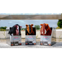 Mini-poney Poly - PONY ACADEMY Bicolores