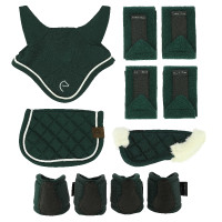 Set mini accesorios Pony Academy Verde oscuro