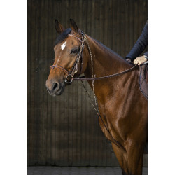 Chambon Eric Thomas Pro Havana Marrón