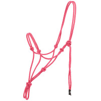 Licol éthologique NORTON - Nylon Rosa viejo
