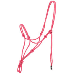 Licol éthologique NORTON - Nylon Rosa viejo