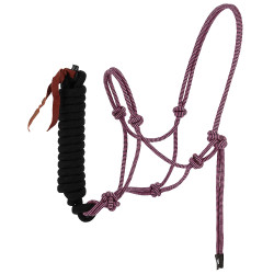 Licol éthologique + longe NORTON - Duo Rosa / negro