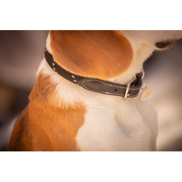 Collar para perro Penelope Billie Collar para perro Penelope Billie