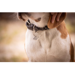 Collar para perro Penelope Billie