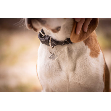 Collar para perro Penelope Billie Collar para perro Penelope Billie