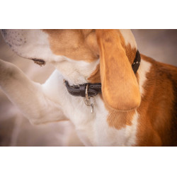 Collar para perro Penelope Billie