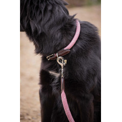 Collar para perro Penelope Billie Rosa / lurex