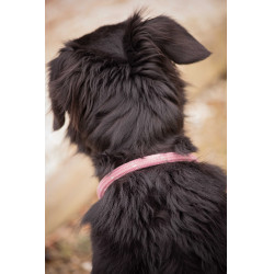 Collar para perro Penelope Billie Rosa / lurex