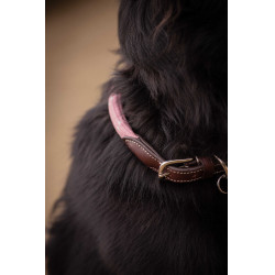 Collar para perro Penelope Billie Rosa / lurex
