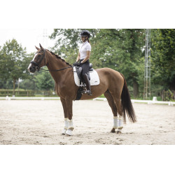 Galón desmontable para casco Lami-Cell Glitter Negro