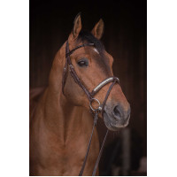 Cabezada PENELOPE - Symphonie SR - Havana Marrón