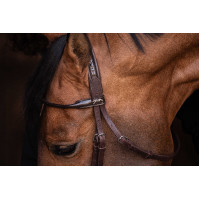 Cabezada PENELOPE - Symphonie SR - Havana Marrón