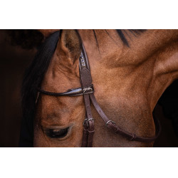 Cabezada PENELOPE - Symphonie SR - Havana Marrón