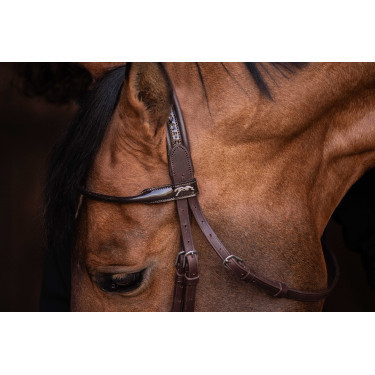 Cabezada PENELOPE - Symphonie SR - Havana Marrón