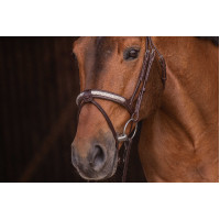 Cabezada PENELOPE - Symphonie SR - Havana Marrón