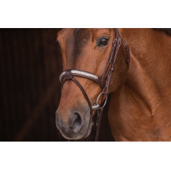 Cabezada PENELOPE - Symphonie SR - Havana Marrón