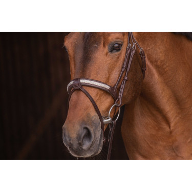 Cabezada PENELOPE - Symphonie SR - Havana Marrón