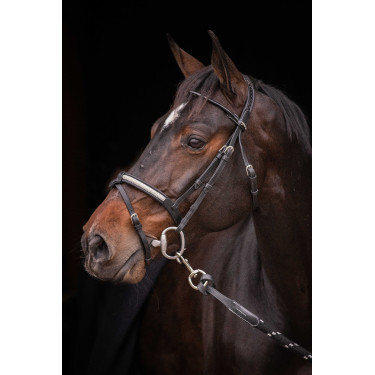 Cabezada PENELOPE - Symphonie SR - Negro