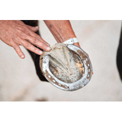 Arcilla para casco Ravene Pediplast Arcilla para casco Ravene Pediplast