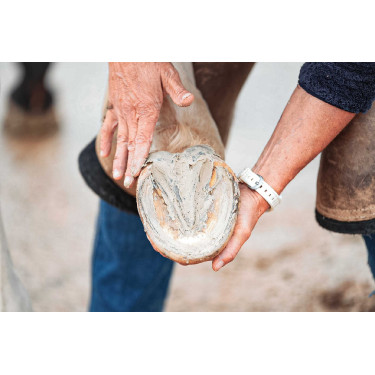 Arcilla para casco Ravene Pediplast Arcilla para casco Ravene Pediplast