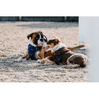 Arnés para perros RIDING WORLD - Simba Marino Azul marino