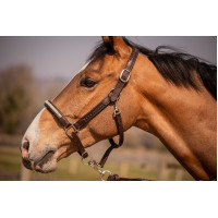 Cabezada Pénélope Harmonie Castaño Marrón