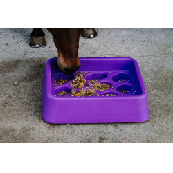 Comedero anti-glotón Hippotonic Púrpura Violeta Comedero anti-glotón Hippotonic Púrpura Violeta