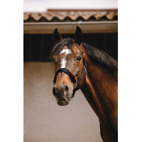 Cabezada de nailon Equithème Jacquard Negro Cabezada de nailon Equithème Jacquard Negro