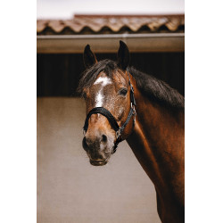 Cabezada de nailon Equithème Jacquard Negro