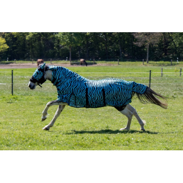 Cubre-moscas Zebra Aqua HKM Aqua / negro Cubre-moscas Zebra Aqua HKM Aqua / negro