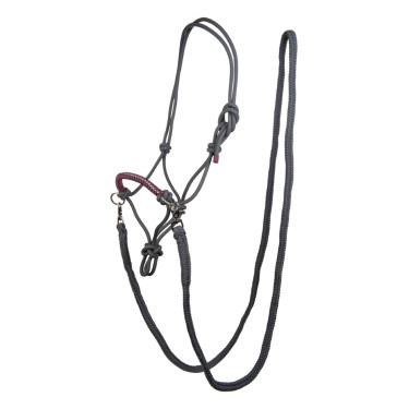 Cabezada etológica Strass con riendas / ramales HKM Gris / uva