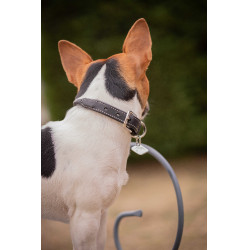 Collar para perro Pénélope Olie Havana Marrón