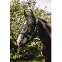 Cabezada de nylon Equithème Protector Verde