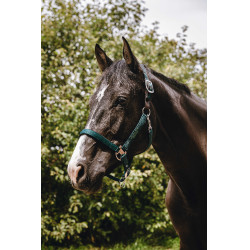 Cabezada de nylon Equithème Protector Verde Cabezada de nylon Equithème Protector Verde