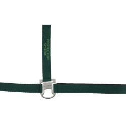 Cabezada de nylon Equithème Protector Verde Cabezada de nylon Equithème Protector Verde