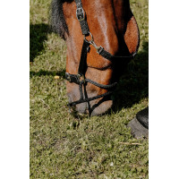 Cabezada Norton Educativa Negro Cabezada Norton Educativa Negro