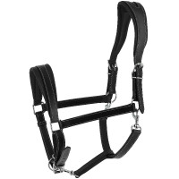 Cabezada Ardenesa Norton Negro