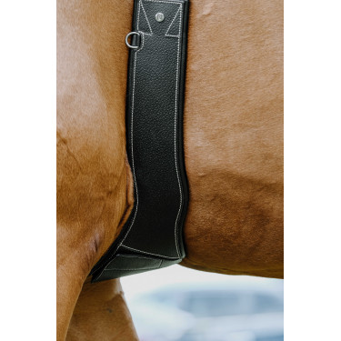 Cinch anatómico Magnet Norton Negro