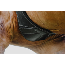 Cinch anatómico Magnet Norton Negro