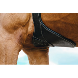 Cincha con babero Magnet Norton Negro