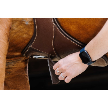 Cincha con babero Magnet Norton Havana Marrón