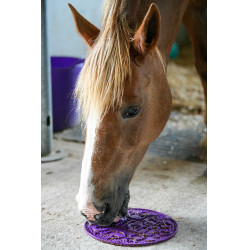 Pasta para lamer LIKIT Graze Paste