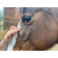 Crema ANIMADERM DERFEN™ Clear Crema ANIMADERM DERFEN™ Clear