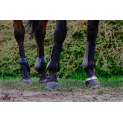 Protectores de tendón RIDING WORLD Castaño Marrón