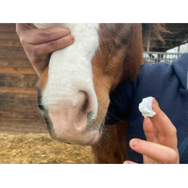 Protección solar ANIMADERM Solaren