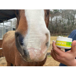 Protección solar ANIMADERM Solaren