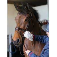 Guantes de limpieza Belvoir® Carr & Day & Martin Tack Cleaner Blanco Guantes de limpieza Belvoir® Carr & Day & Martin Tack Cleaner Blanco