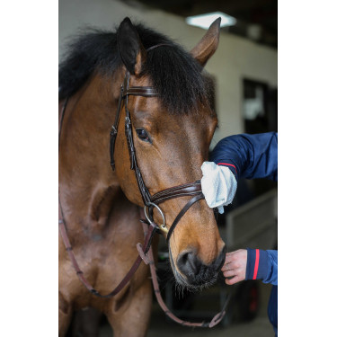 Guantes de limpieza Belvoir® Carr & Day & Martin Tack Cleaner Blanco