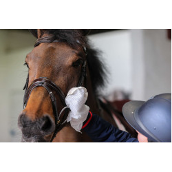 Guantes de limpieza Belvoir® Carr & Day & Martin Tack Cleaner Blanco